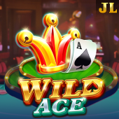 Wild Ace x777 vip slot game